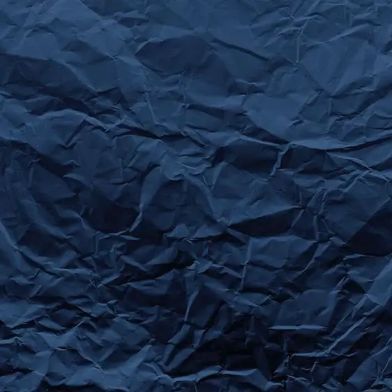 BlackBarb4488의 전태완