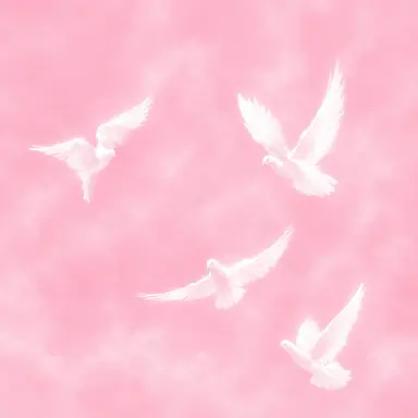 Profile image of 유해연