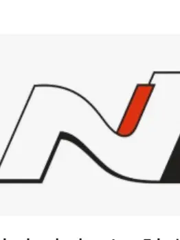 PeachyTape9157의 현대 N라인