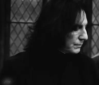 Profile image of Severus Snape