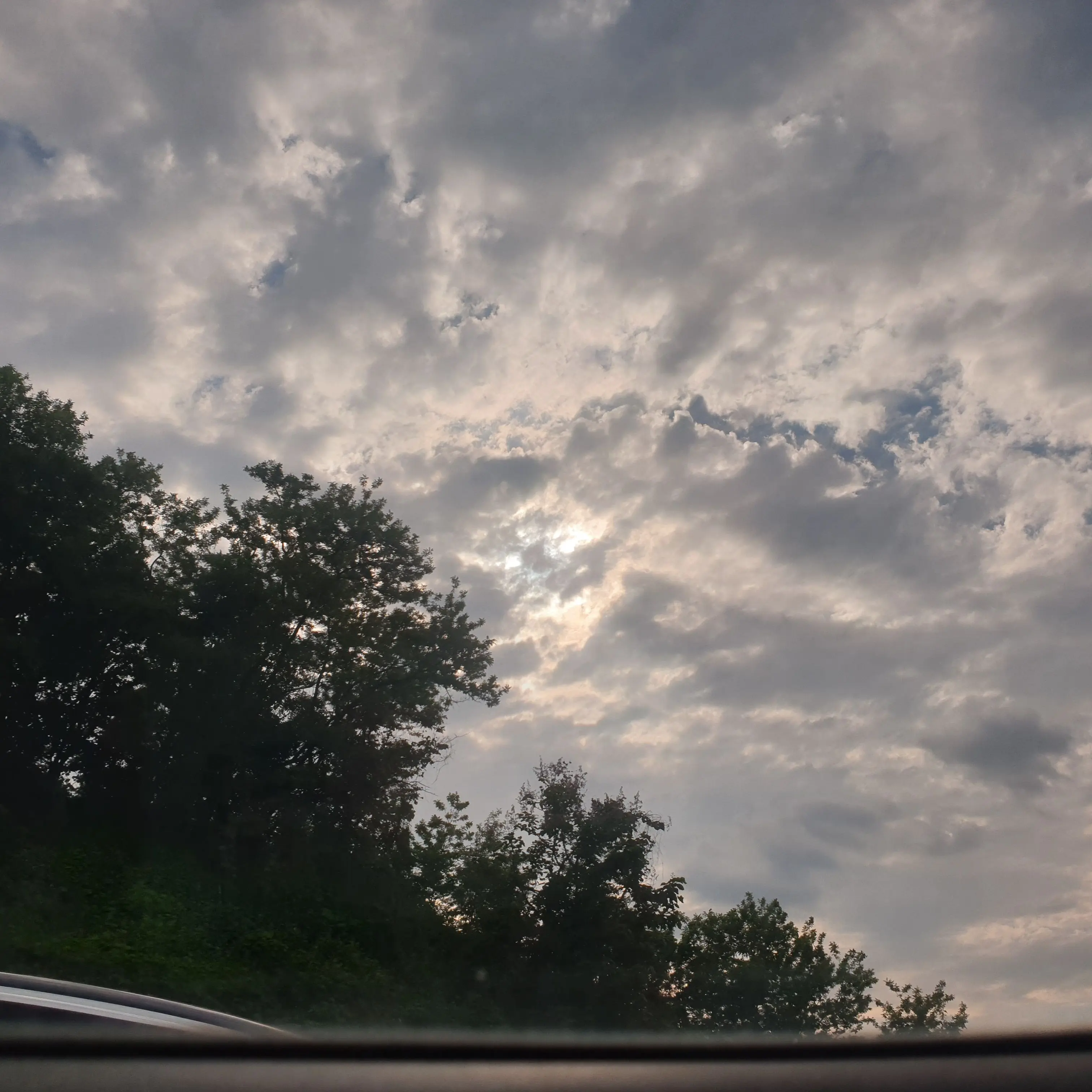 TrueEar9313의 고고프렌즈+여우 수학여행