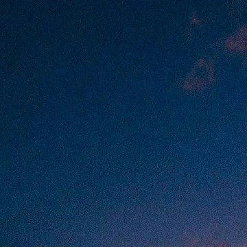 보스들