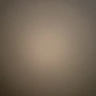 Profile image of 여인