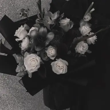 Profile image of 朱雀