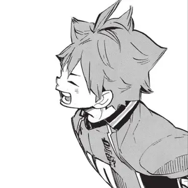 Profile image of 日向翔陽