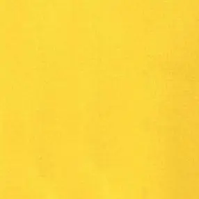 Profile image of 타메토모