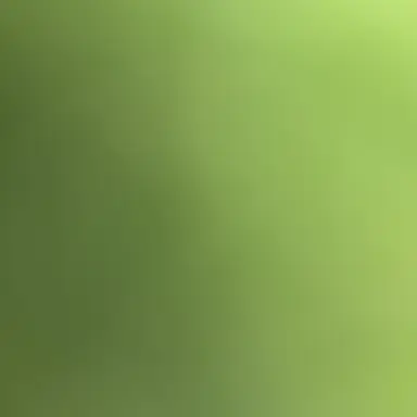 Profile image of 김규빈