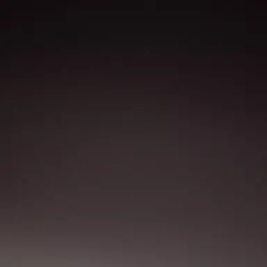 Profile image of 코쵸우 시노부