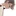 アル