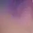 비챤