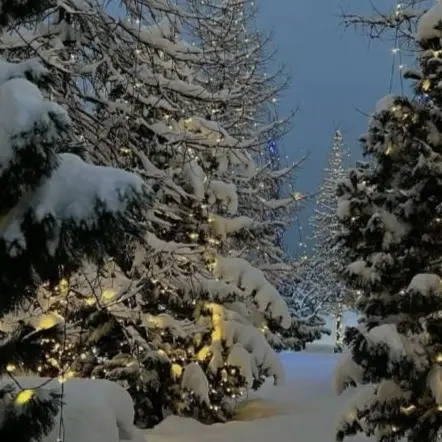 Mini_Blackberry의 배우인데 여우랑 드라마 찍는다....