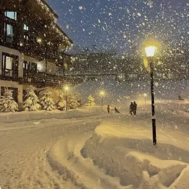 Profile image of 임유림