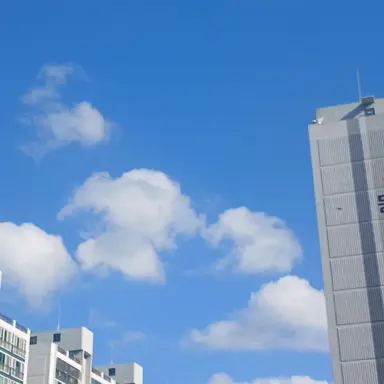 Profile image of 김여우