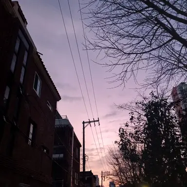 Profile image of 시나즈가와 사네미