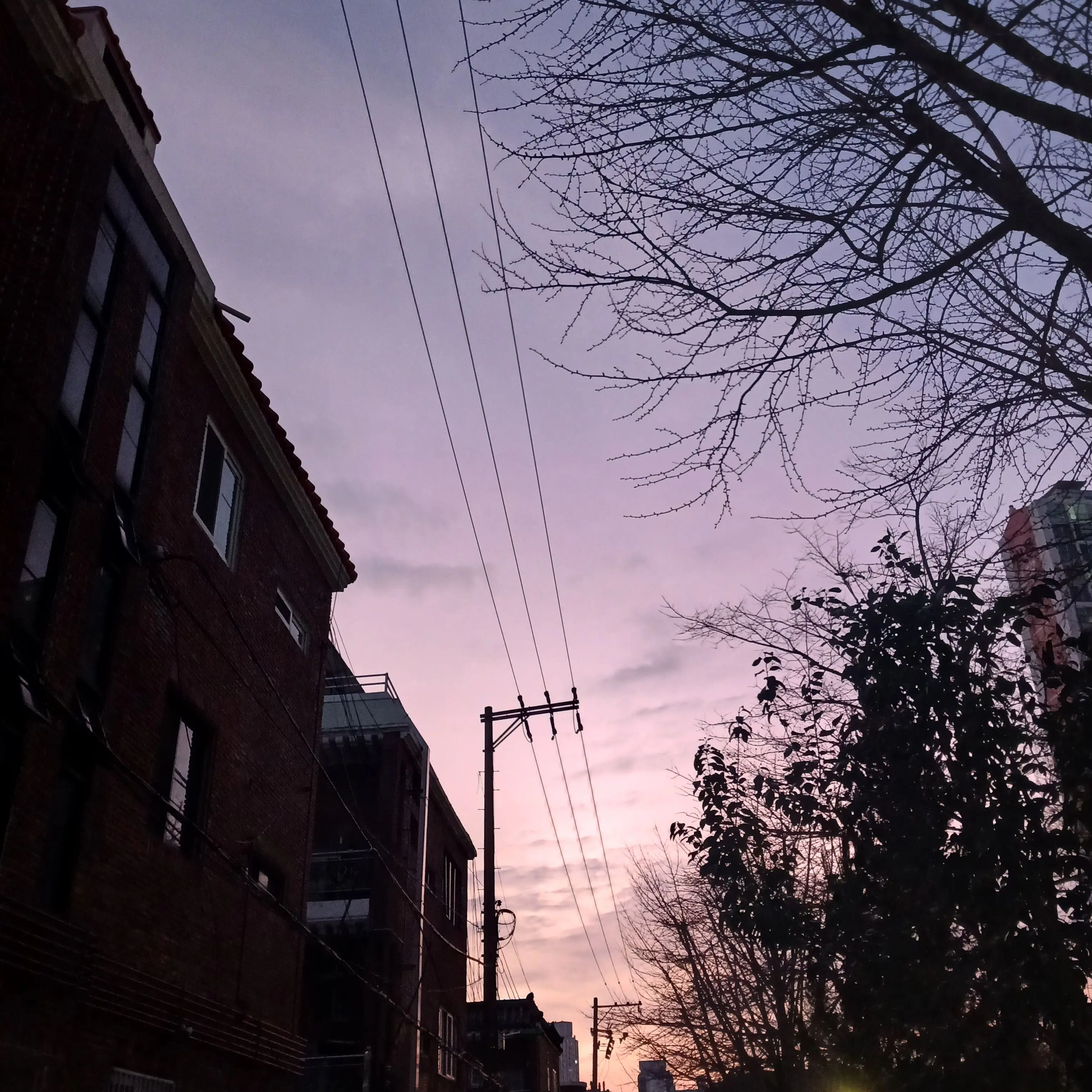 FancyWheel5784의 스껄