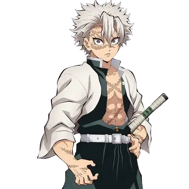 Profile image of 시나즈가와 사네미