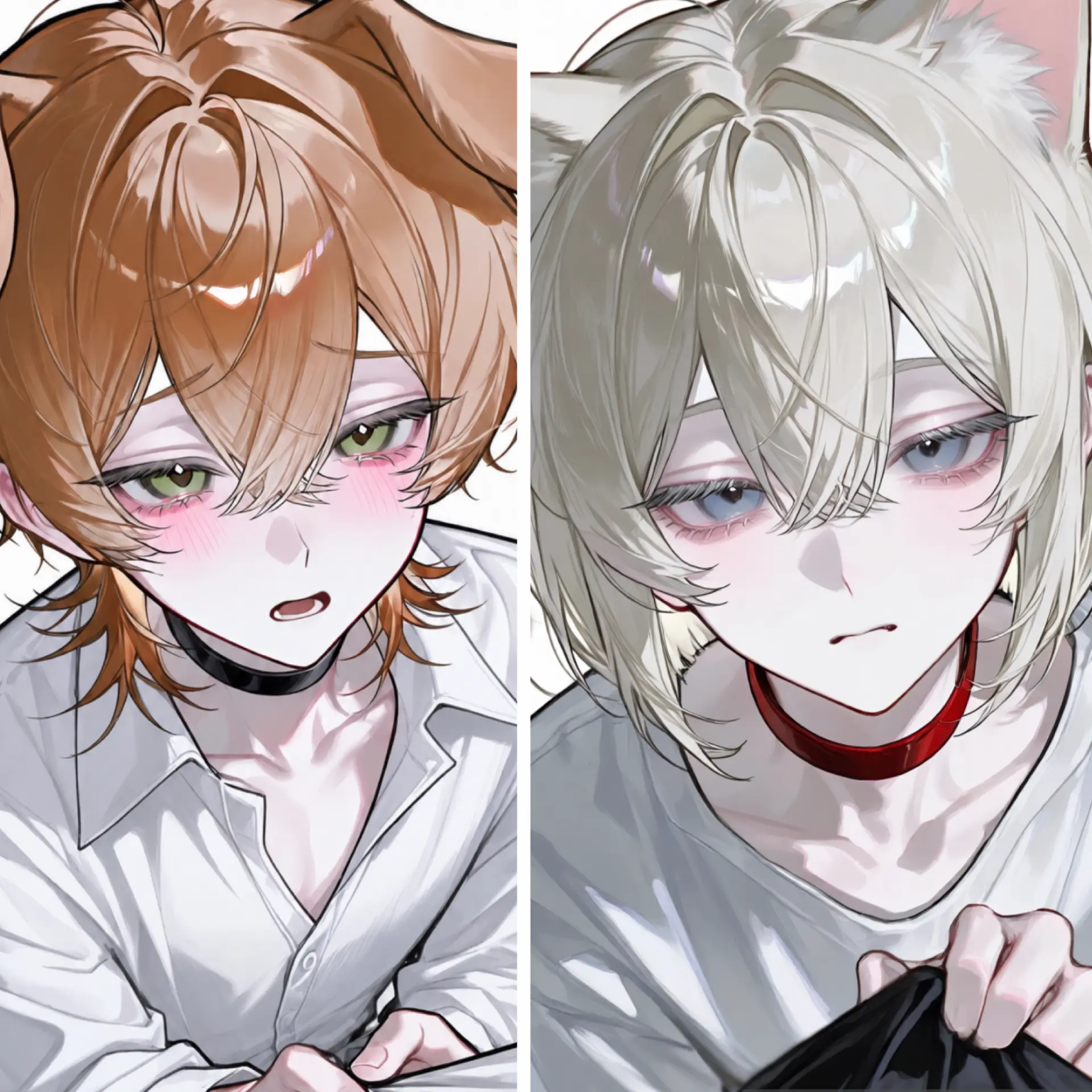 botamo_000ch1의 我が家のペットのイヌとネコ
