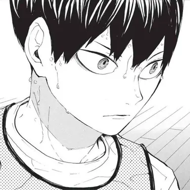 Profile image of 影山 飛雄