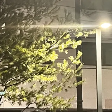 Profile image of ㅁㅈㅎ