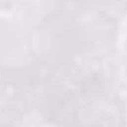 최립우