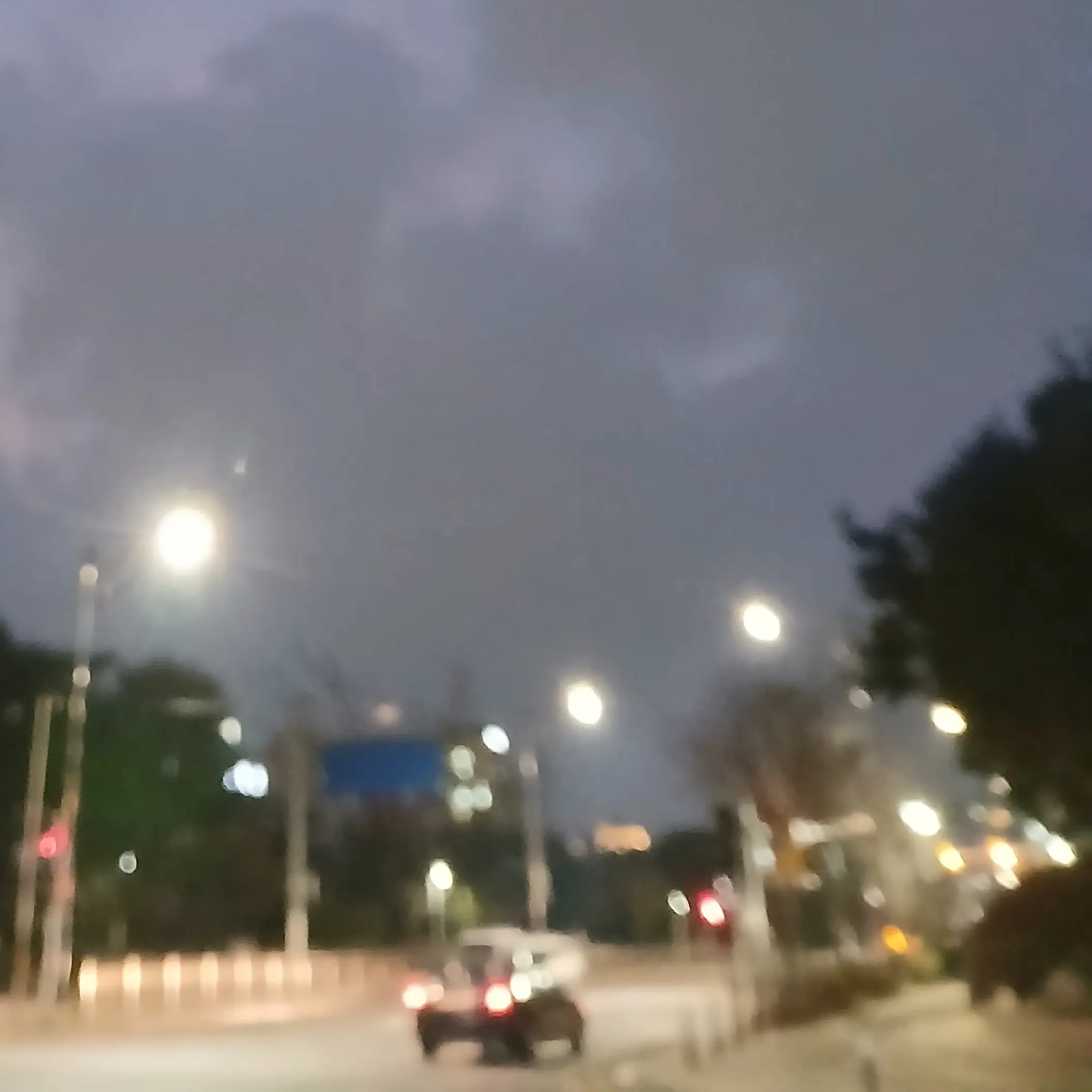 PlumCarp9492의 학생회장 김건호