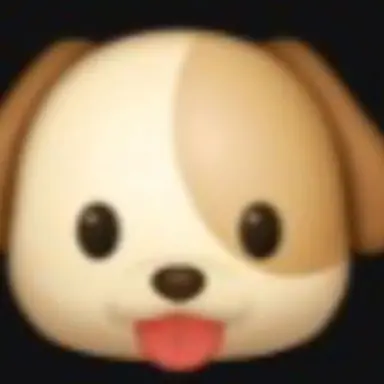 Profile image of 지헌