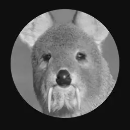 Profile image of 왼발가락