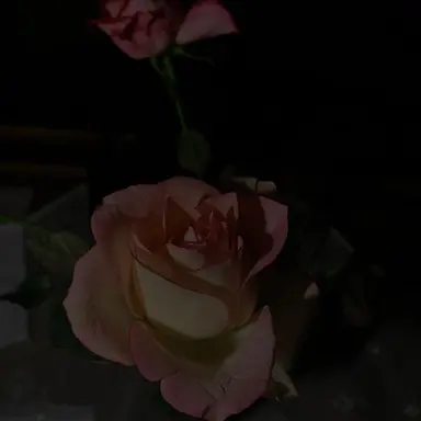 Profile image of 나루미 겐