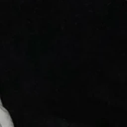 최범규