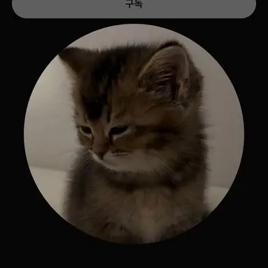 Profile image of 이우럭