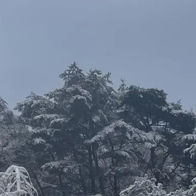 Profile image of 뉴비