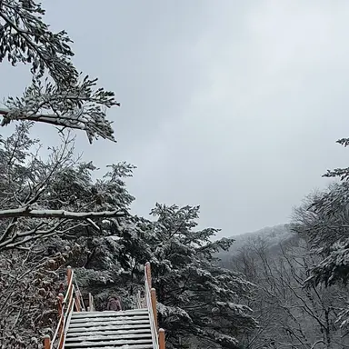 Profile image of 게스트666