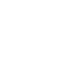 똥