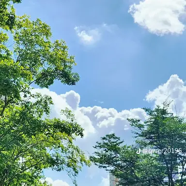Profile image of 우쇼