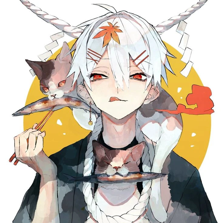 白猫
