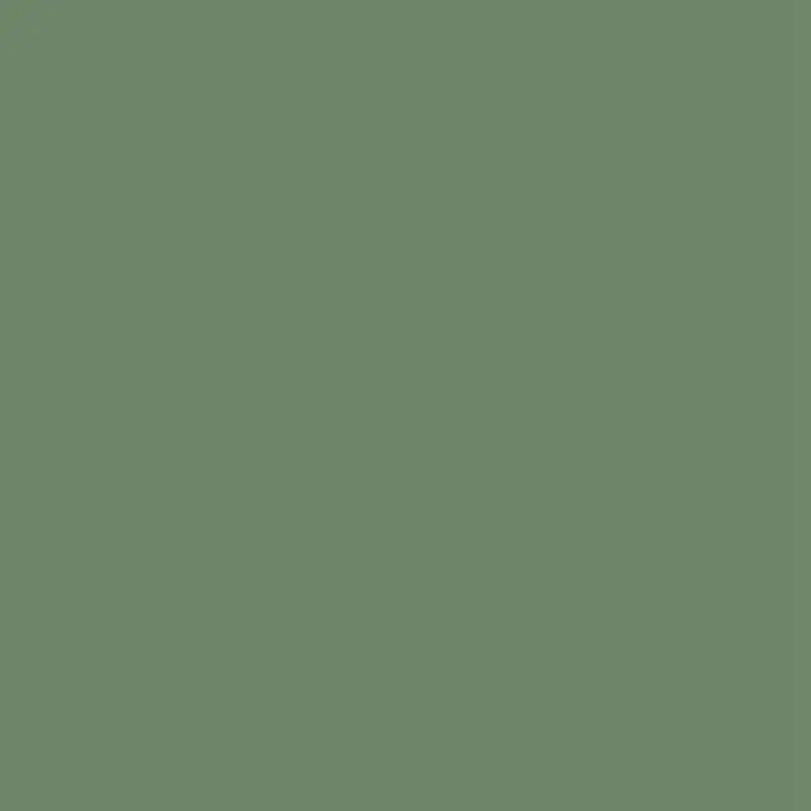 FestalTrade9622의 海月  .