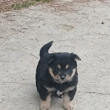 Profile image of 백강혁