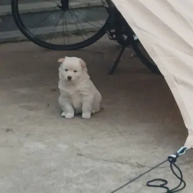 Profile image of 양재원