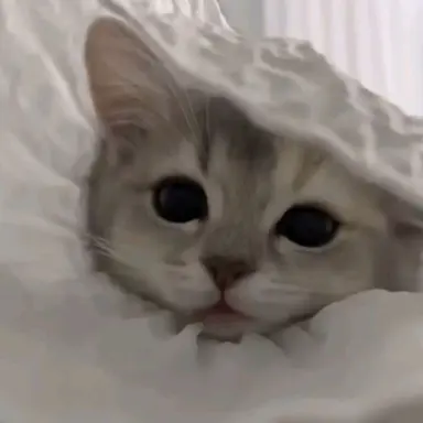 Profile image of 이여운