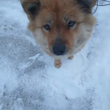 Profile image of 박경원