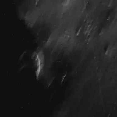 Profile image of 大森 元貴