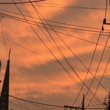 Profile image of 시크민니