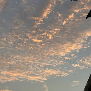 Profile image of 활발한민니