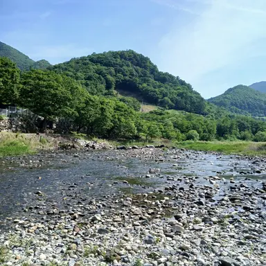 Profile image of 세연