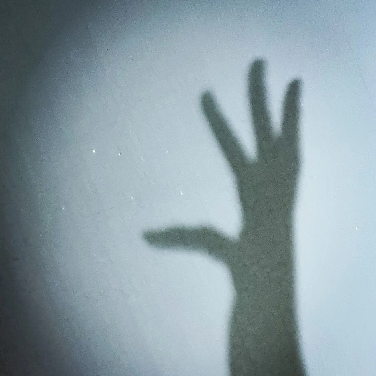 ShortHusky8282의 이레귤러