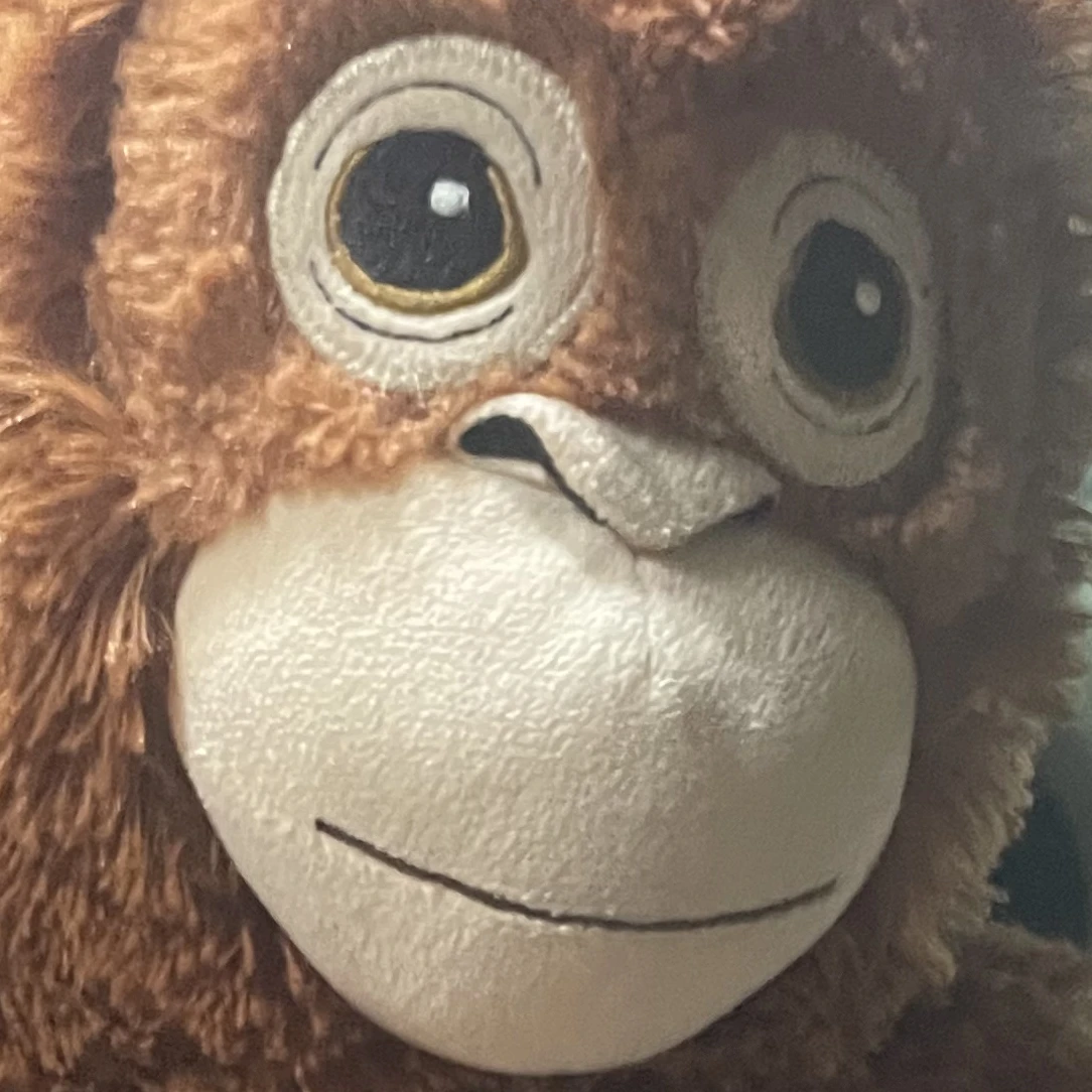 고고프렌즈