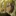 アルミン・アルレルト
