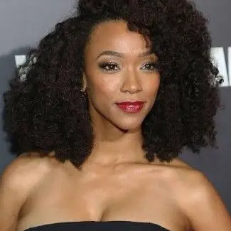 Profile image of Sasha