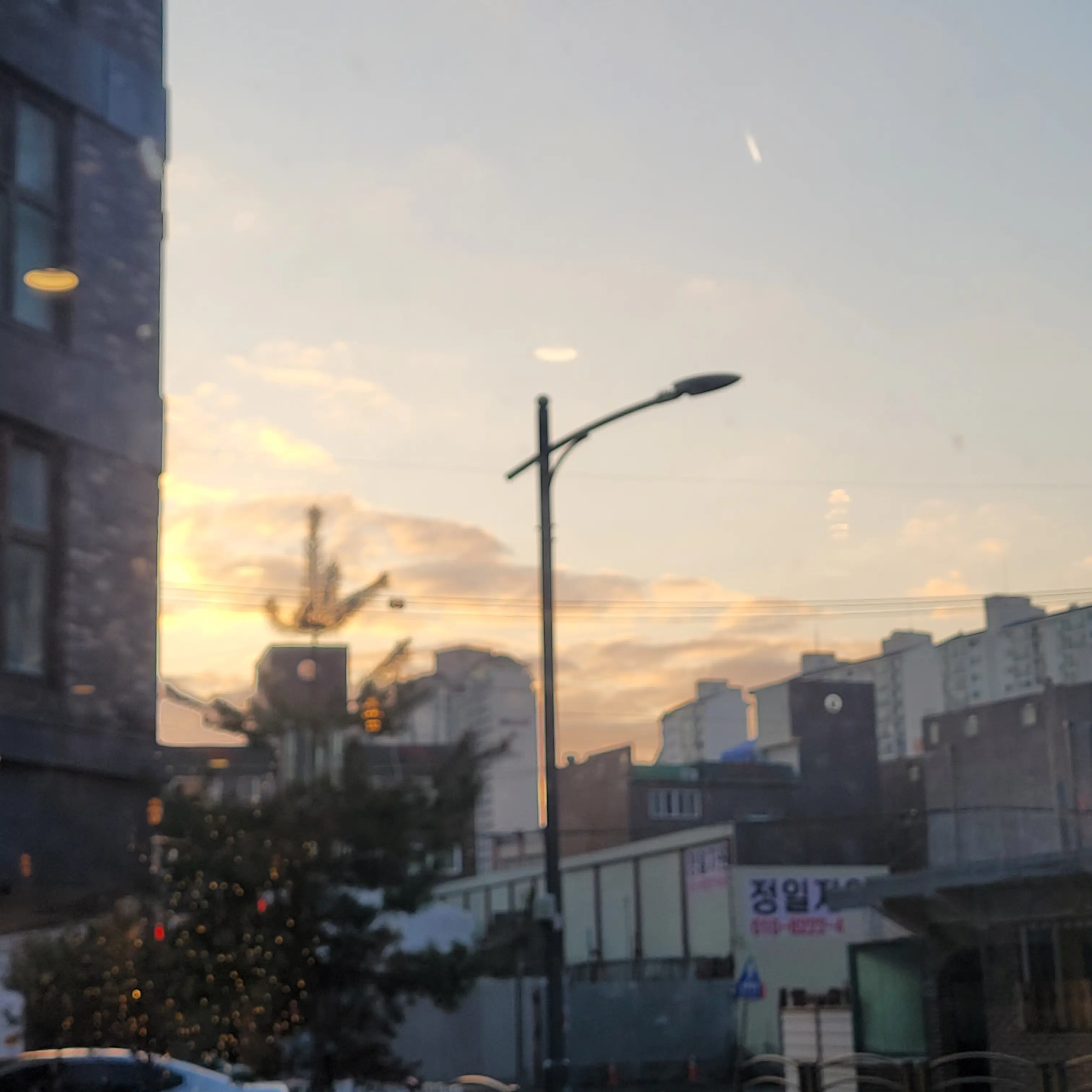 Sunny_0217의 장유준