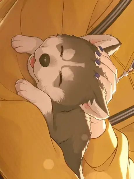 oyakodon의 男子組だよん
